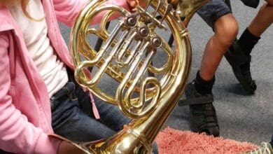 horn