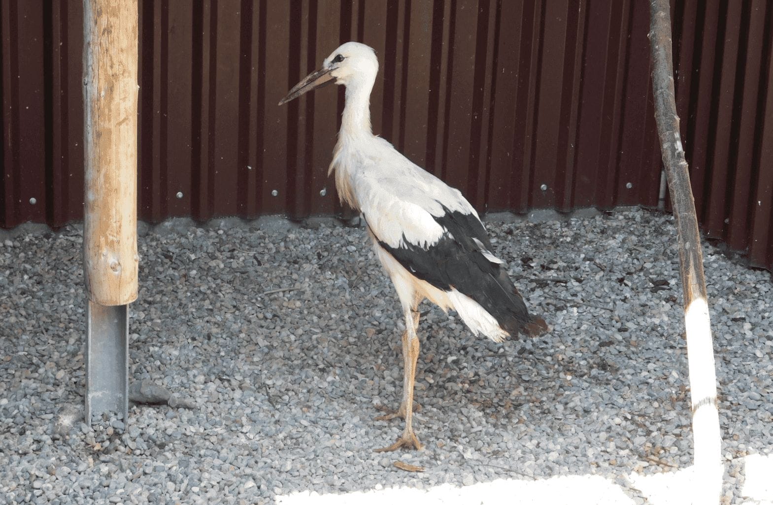 in mössingen dkpm 150724