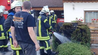 tuja brand tebro 3 dkpm 090724