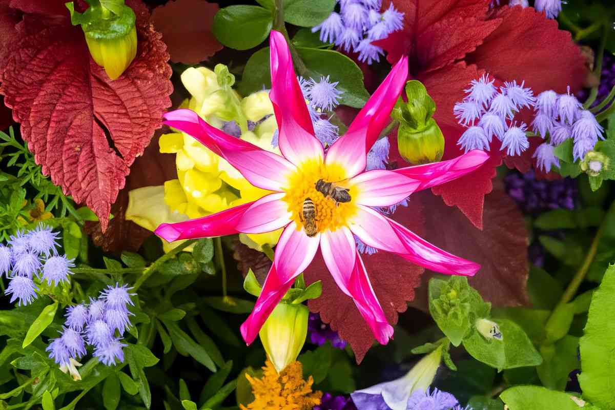 dsc06363a 113252