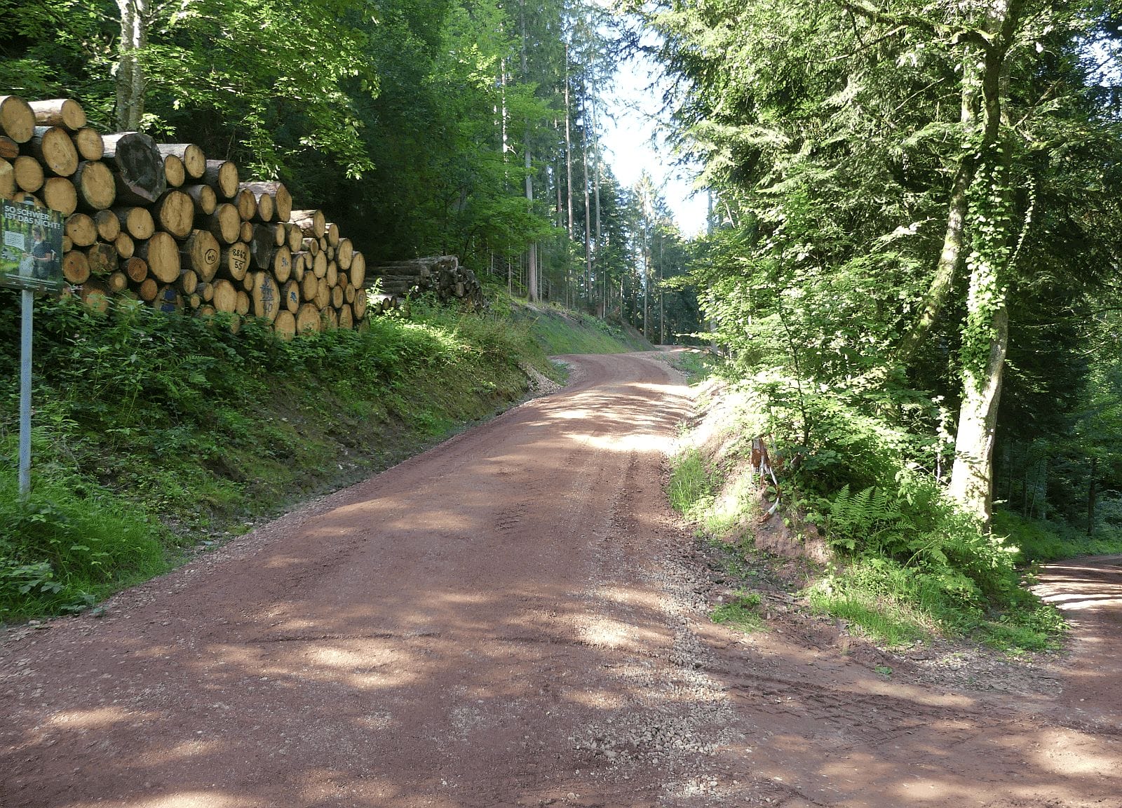 forstweg sulgen feinbelag dk 090824 (1)
